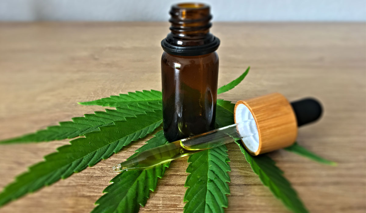 A Dropper Of CBD Oil Next To A Green Plant