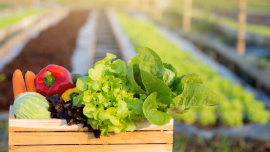 Vegetables in a box.