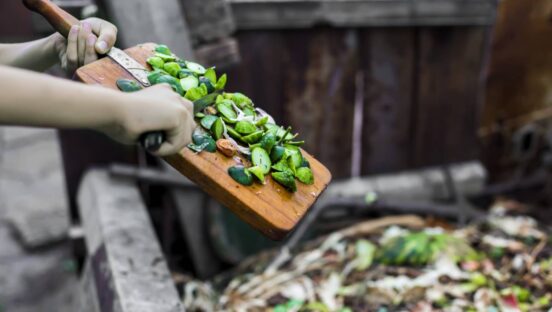 Food waste.