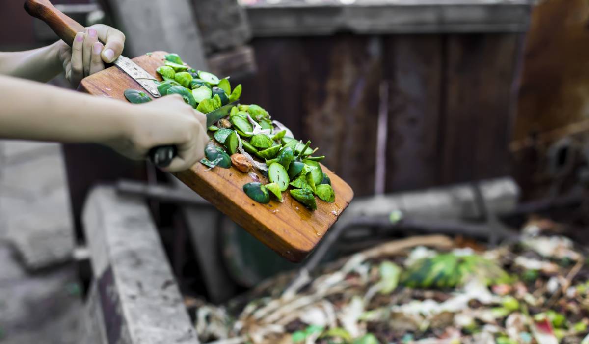 Food waste.