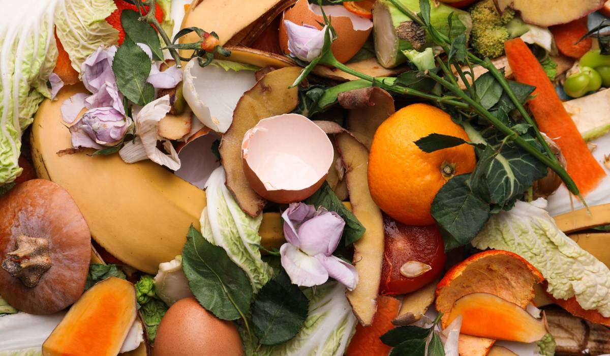 A credible zero-waste tasting program is a brand story the dining room can stand behind.