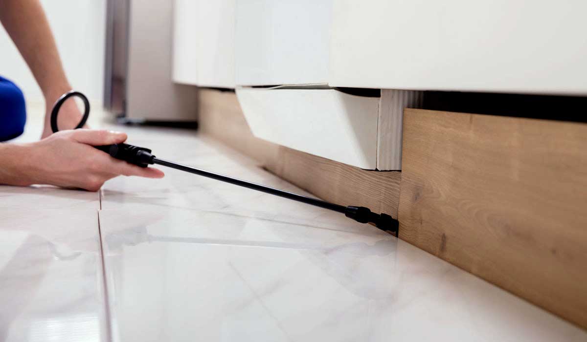 Pest Control Worker Spraying Pesticide On Wooden Cabinet