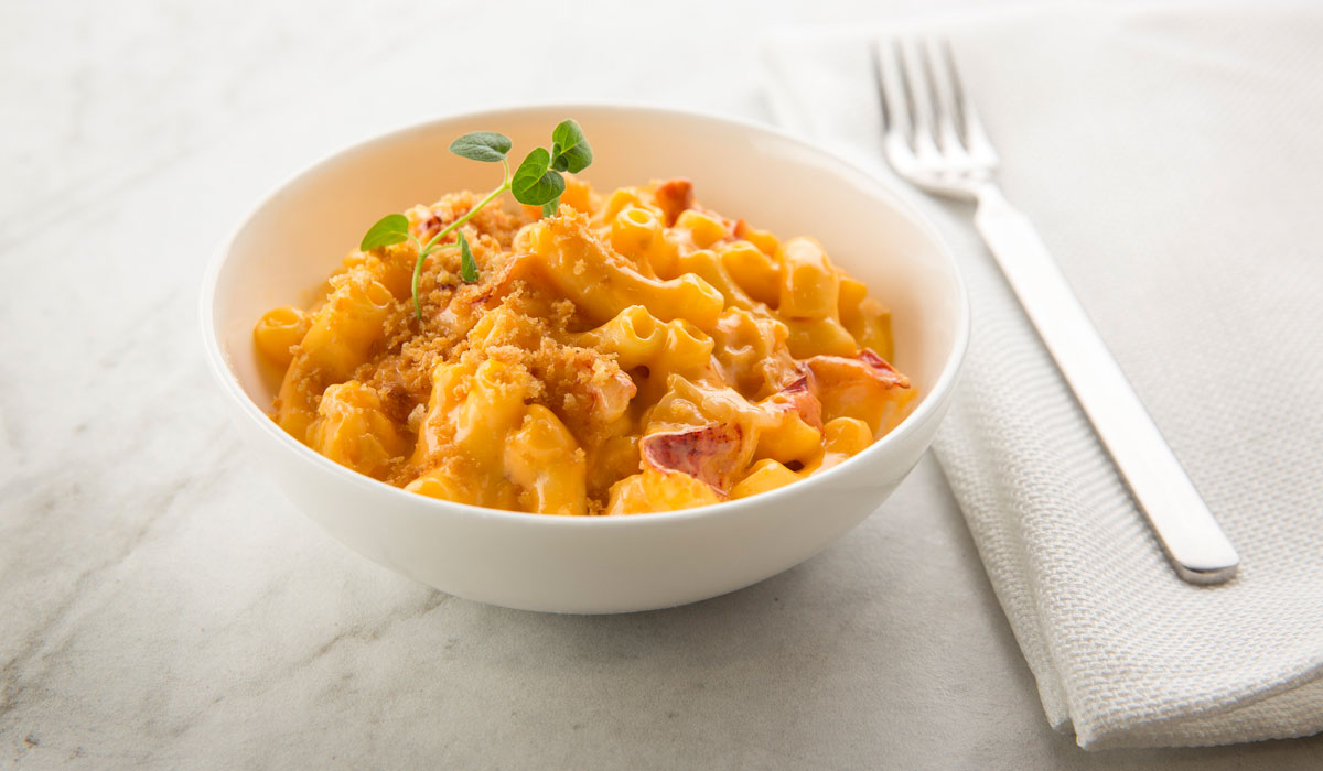 A Bowl Of Lobster Mac & Cheese
