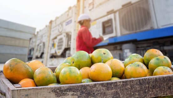 Orange fruit and food distribution.